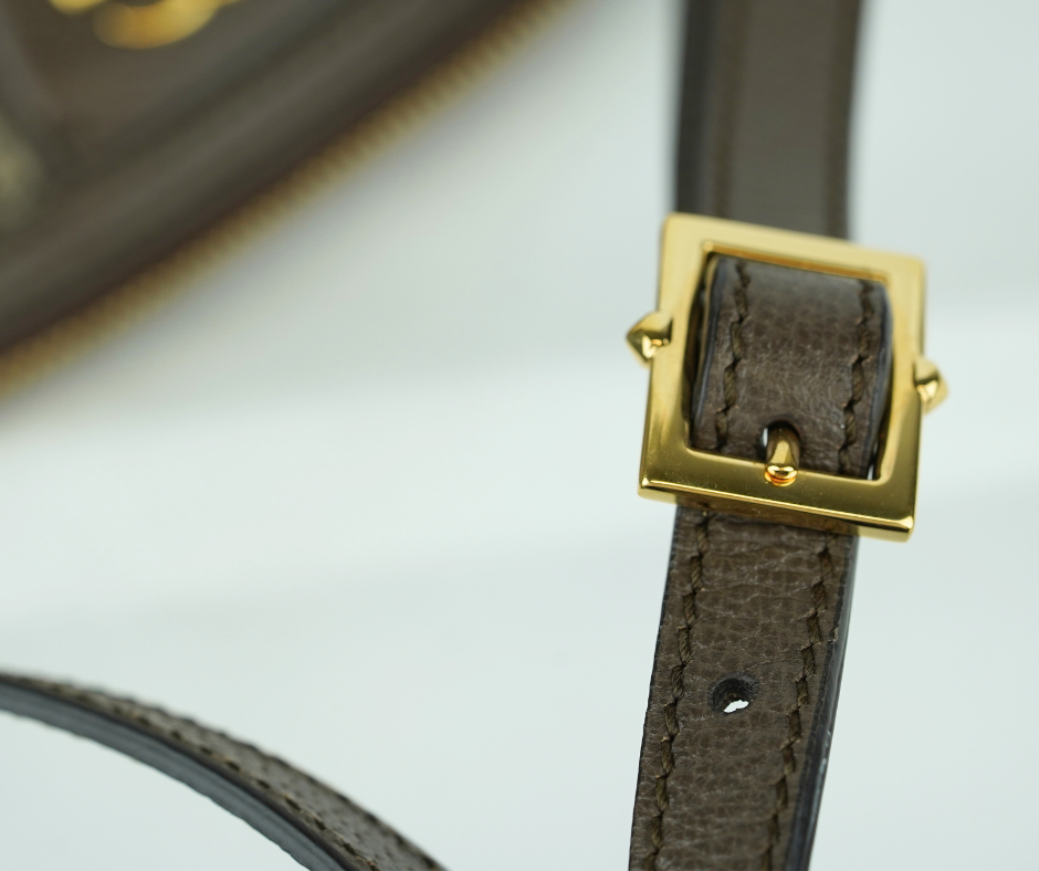 Pre-Loved Gucci Ophidia Bag in Supreme Canvas