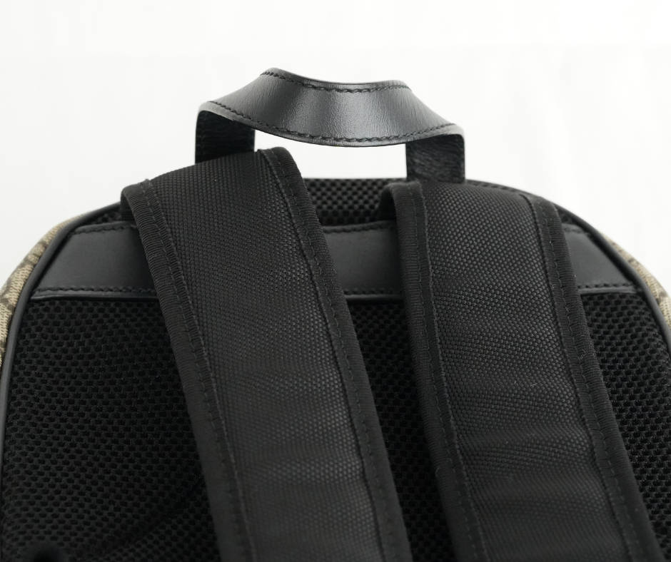 Pre-Loved Gucci Beige Black Supreme Canvas Backpack